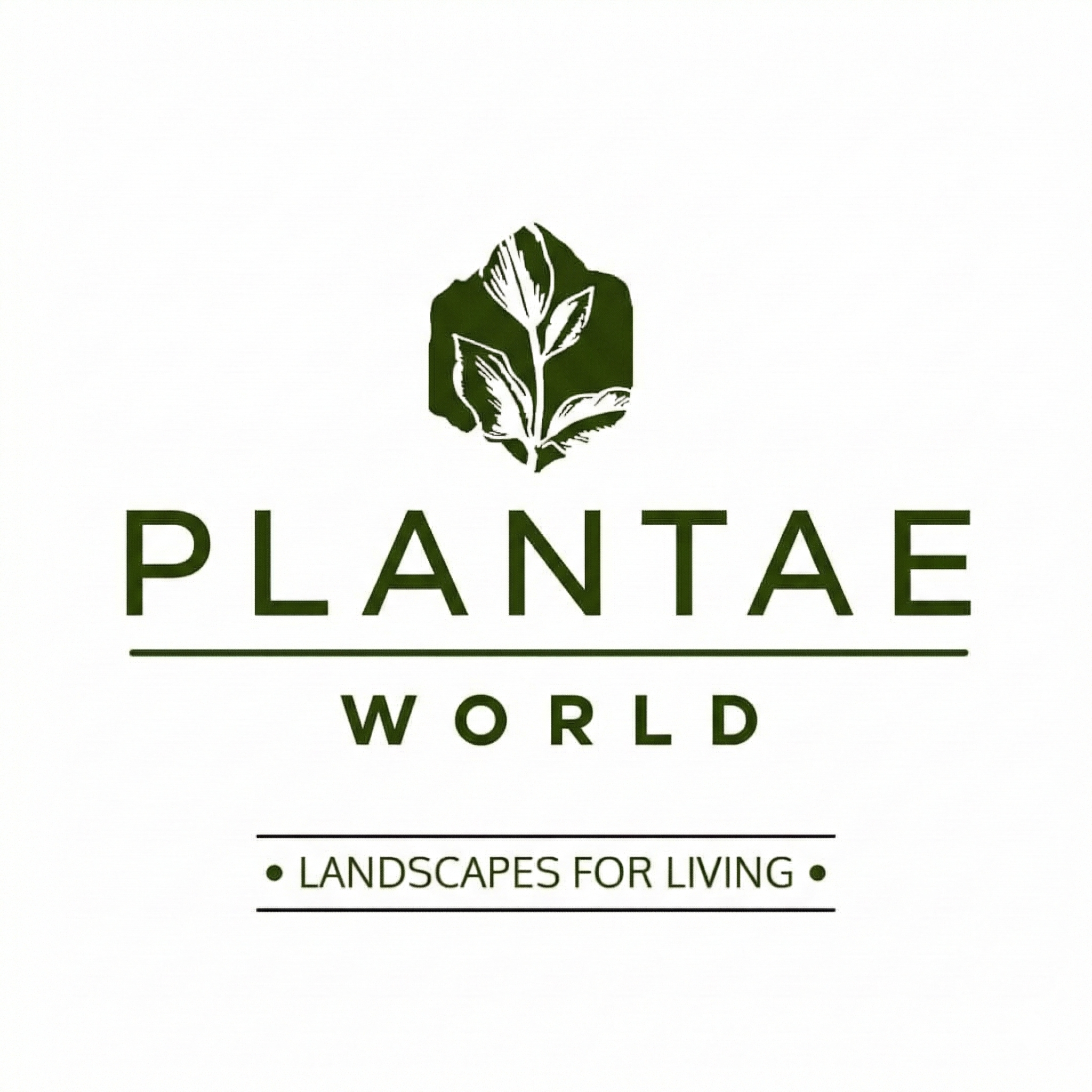 Plantae World case study